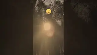Trance Alien - Rain