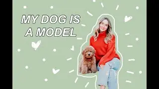 MY DOG IS A MODEL????? // first photoshoot with my puppy! Savannah Rae Collins