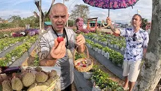 Eating   Durian &.strawberries, From Farmes in Thailand