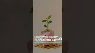 Что надёжно, высокодоходно и ликвидно &mdash; с точки зрения экспертов и реальной ситуации в Беларуси?