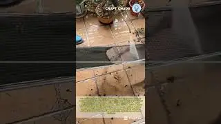 Process of cleaning things using high water pressure machine
