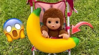 Baby Monkey daily routine ☀️