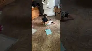 World&rsquo;s smallest dog ever
