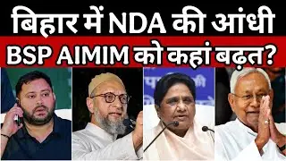 BIHAR RESULTS: NDA की आंधी में बसपा और AIMIM को कहां बढ़त | BSP AIMIM LEADING ON WHICH SEATS? 