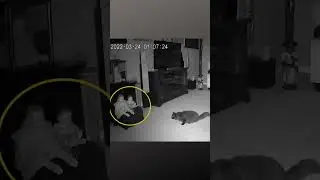 C&acirc;meras de seguran&ccedil;a capturam 'fantasma' deixando uma boneca e perseguindo seu gato