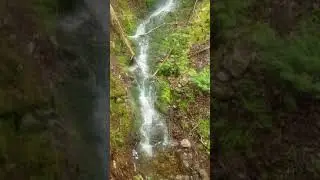Coxheath Mountain Trail Hike-June 4, 2021