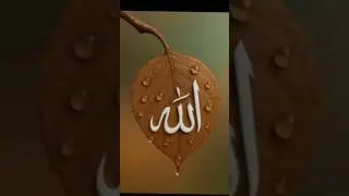 I love ❤ Allah ☘️#2026 #love #viral #short #video ☘️