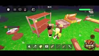 我的第一天 #努世界 #roblox #我的世界