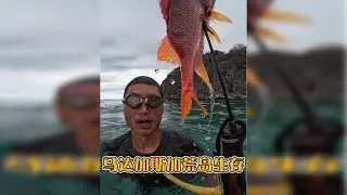 非洲（马达加斯加）荒岛生存，全员出动，准备荒岛上的一日三餐，用来招待这位远道而来的美食博主