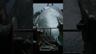 🤯 GIANT FISH Caught On Camera! 🎣 You Won't BELIEVE This! 😱 #Fishing #HugeCatch