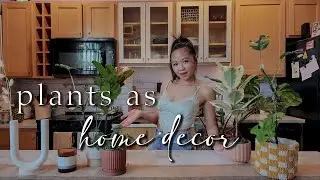 DIY aesthetic PLANT light using IKEA items | Plants as home decor | Rare plant & planter shopping