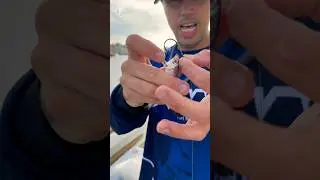 ⚠️LA MEJOR FORMA DE ENCARNAR EL BOQUERON O SARDINA AL ANZUELO⚠️ #pesca #fishing #pescaria #parati