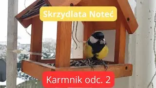 Skrzydlata Noteć- Karmnik odc. 2