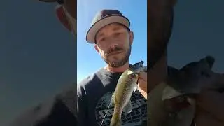 senko down! #keepemtight #basspumping #bassfishing #bassfeatured #fishing #fish #shorts
