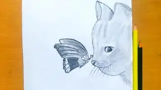 how to draw a cat with butterfly for beginners | draw a cat with a butterfly on its nose.