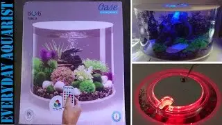 BiOrb Tube 35 Unboxing & Review