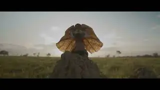 Australian Wild Tours (NEW Exclusive to the Northern Territory 2022)