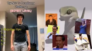 Top 5 lagu Indonesia paling asik (meme)