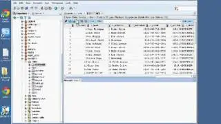 Data Science Central: The Challenges of Big Data Integration