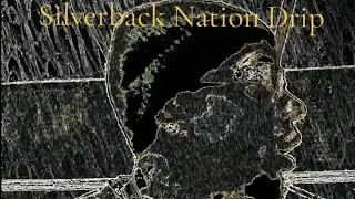 @BryanWest-w4w #SILVERBACK RECORDS 🌑🔴