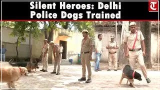 Delhi Police trains dogs to stay silent near bombs ahead of Independence Day | Red Fort alert