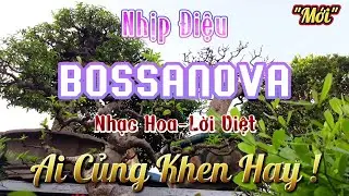 Lk Nhạc Hoa Lời Việt Không Lời Mới Nhất - Hòa Tấu Bossanova Nhạc Hoa Không Lời Hay Nhất Hiện Nay
