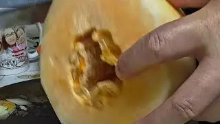 peeling melon 🍈🍈 expert 🤣🤣Rheyna's Vlog tv is live