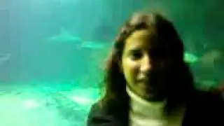 Laura's shark attack part 2