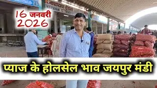 16 जनवरी 2026 जयपुर प्याज रिपोर्ट | today onion report jaipur | jaipur pyaj Mandi bhav