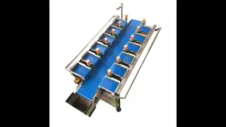 12-Head belt type combination scale