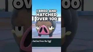 How To Breed Eggs In Pokemon Scarlet And Violet In UNDER 60 Seconds