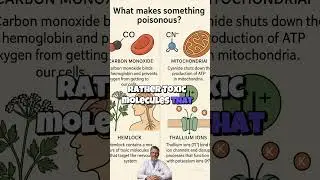 What makes something poisonous?