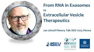 From Functional RNA in Exosomes to Extracellular Vesicle Therapeutics - a 20-Year Journey