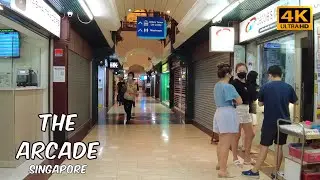 The Arcade | Singapore Walking Tour | Jan 2022 [4K]