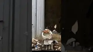Super Slow-motion Toilet Smash #toilet #slowmotion #kidsvideo