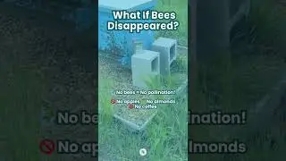 What Would Happen If Bees Went Extinct? | The Shocking Truth About Pollinators!