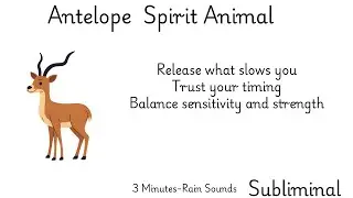Antelope Spirit Animal (Spirit Animal Series  Rain Sounds)