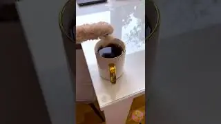 Tritt niemals auf den Snack einer Katze! 🐾💥 Sofortiger Katzenzorn! #katzenvideo