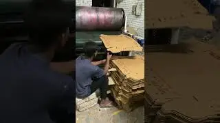 Day Old Chick Transport Box (Carton)   #hatchery #layerfarming #poultry #poultryfarm #poultryfarming