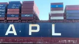 This APL leaving Savannah is a beauty and a beast and she got close