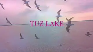 Tuz Lake