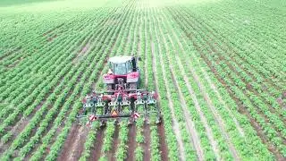 6-r&aelig;kket MSR Opti Weeder med variable ramme - OW A 52 DJI 0612