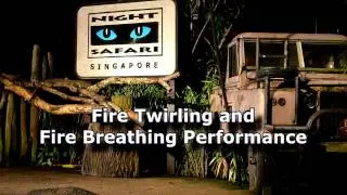 D2 Singapore Zoo Night Safari Fire Breathers Aug 2016 1280x720
