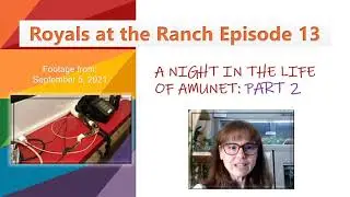 A NIGHT IN THE LIFE OF AMUNET PART 2: Royals at the Ranch Episode 13