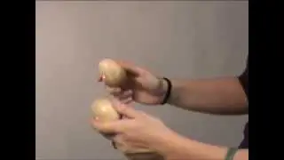 DOBANI Egg Shakers, Wooden Pair (WES)