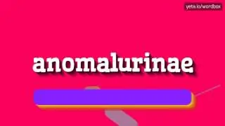 ANOMALURINAE - HOW TO PRONOUNCE IT!?