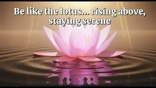 Be Like a Lotus |Calm Mind Meditation |Relaxing Sounds |Lotus Flower Meditation |Soothing Water Flow