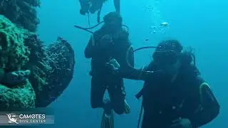 Scuba Diving Adventure: Exploring Coral Reefs in Camotes