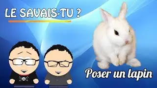 [Le savais-tu&nbsp;?] - Expressions populaires - &nbsp;: Poser un lapin 🐰