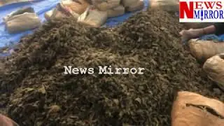 Directorate of Revenue Intelligence Hyderabad seized Ganja worth of Rs.1,92,54,000/- at Siddipet.